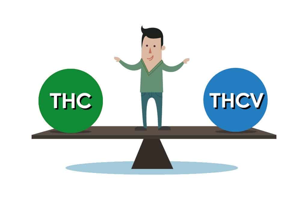 THC VS THCV