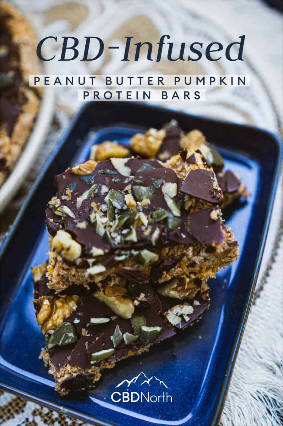 cbd-infused-peanut-butter-pumpkin-bars-no-bake-cbdnorth