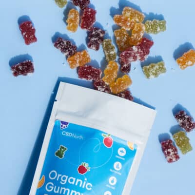 buy cbd gummies