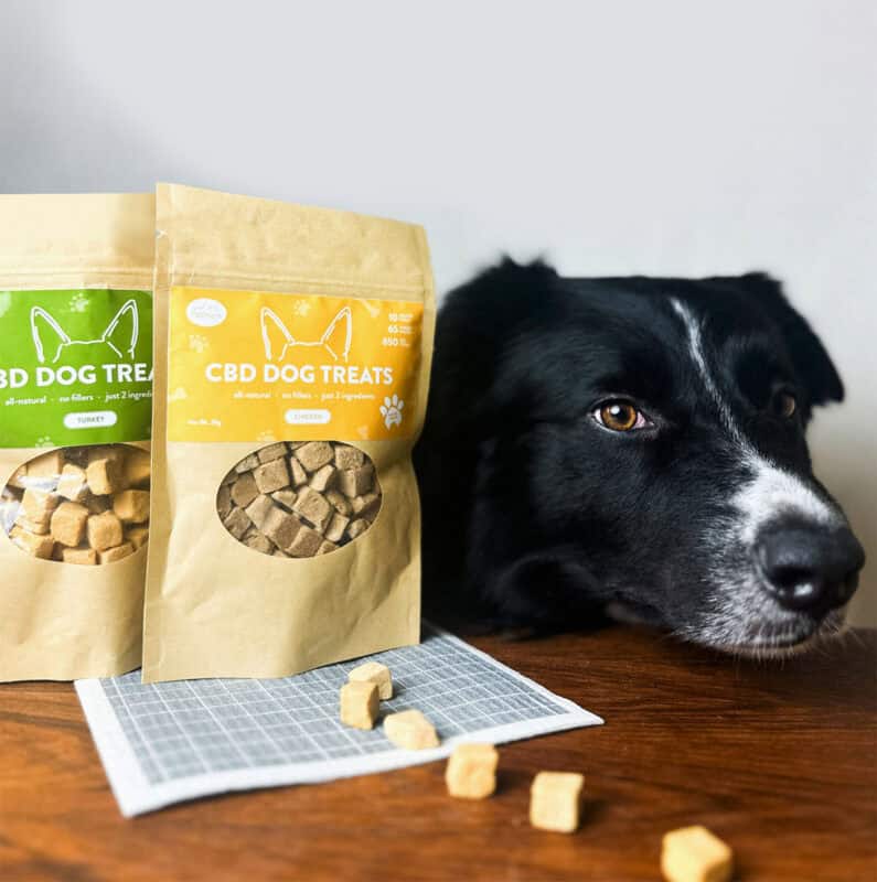 CBD Dog Treats