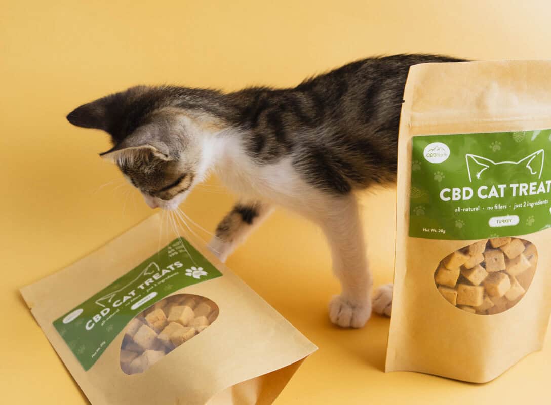 CBD Cat Treats