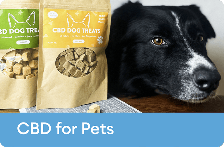 CBD for Pets