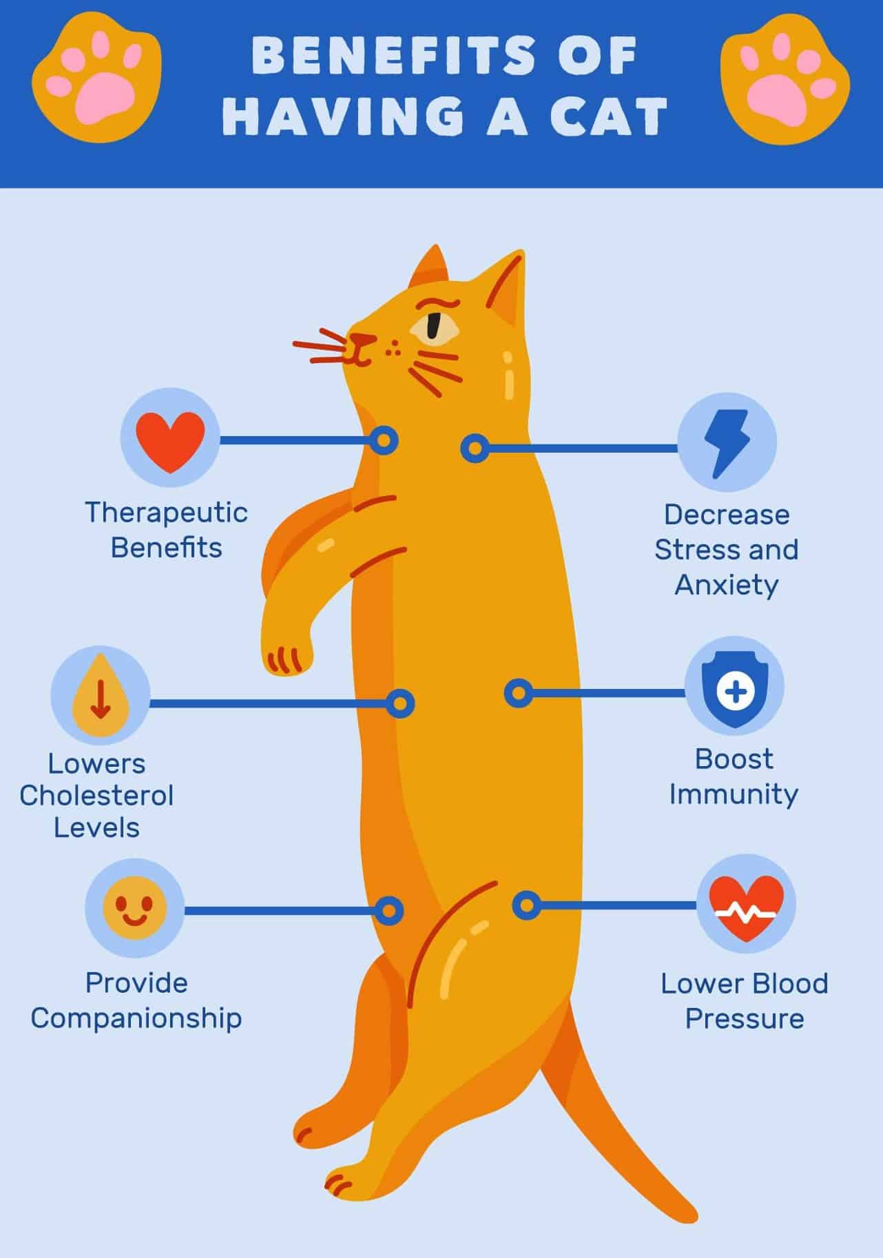 CBD Oil benefits for Cats