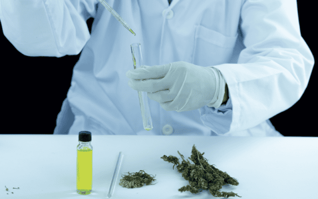 Third-Party Lab Tested CBD Oil