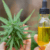CBD oil near me