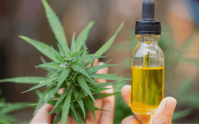 CBD oil near me