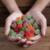 gummies for pain