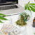 how much does cbd oil cost