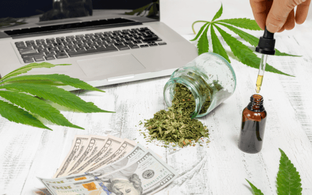 how much does cbd oil cost