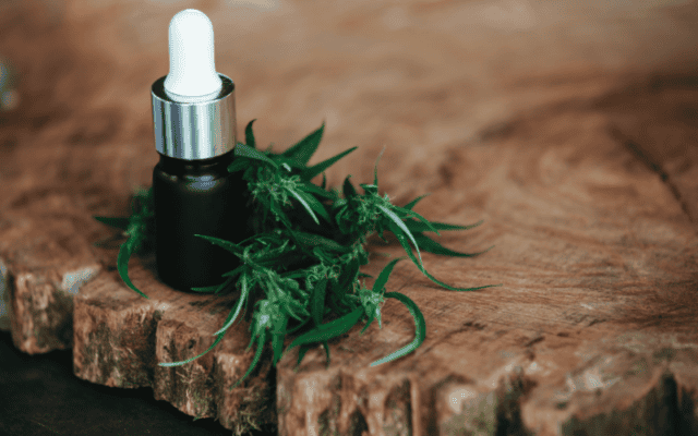 how much thc is in cbd oil