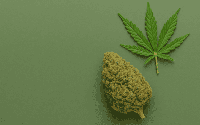 best cannabis strain for anxiety and ocd