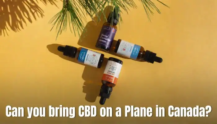 CBD allowed on a plane in canda or not, check it now