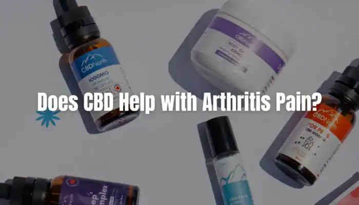 Does CBD Help with Arthritis Pain: read it now