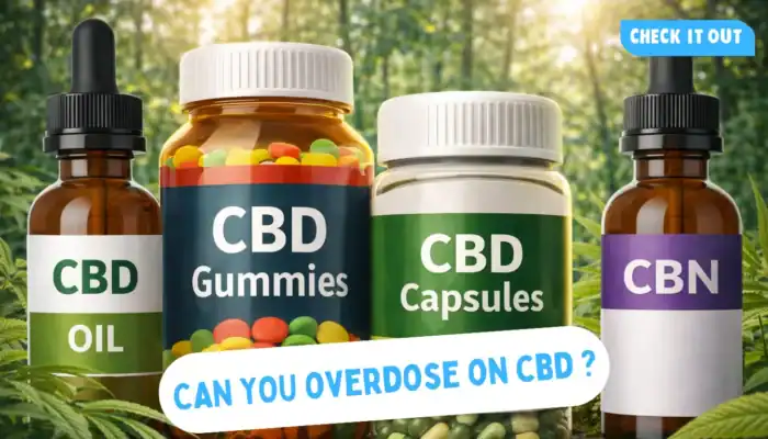cbd overdose safety