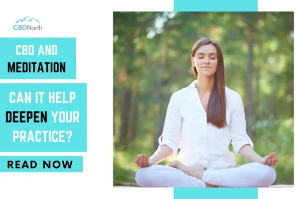 new thumbnail of post cbd and meditation