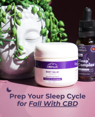 CBDNorth 1200mg Lavender Lemongrass Body Balm jar and Extra Strength Sleep Complex tincture next to a Buddha planter with text reading Prep Your Sleep Cycle for Fall With CBD