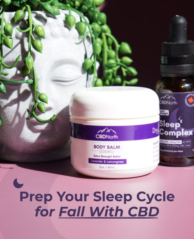 CBDNorth 1200mg Lavender Lemongrass Body Balm jar and Extra Strength Sleep Complex tincture next to a Buddha planter with text reading Prep Your Sleep Cycle for Fall With CBD