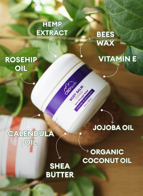 CBDNorth 1200mg CBD Body Balm jar annotated with hemp extract, rosehip oil, calendula oil, shea butter, jojoba oil, and beeswax – buy CBD topicals Canada