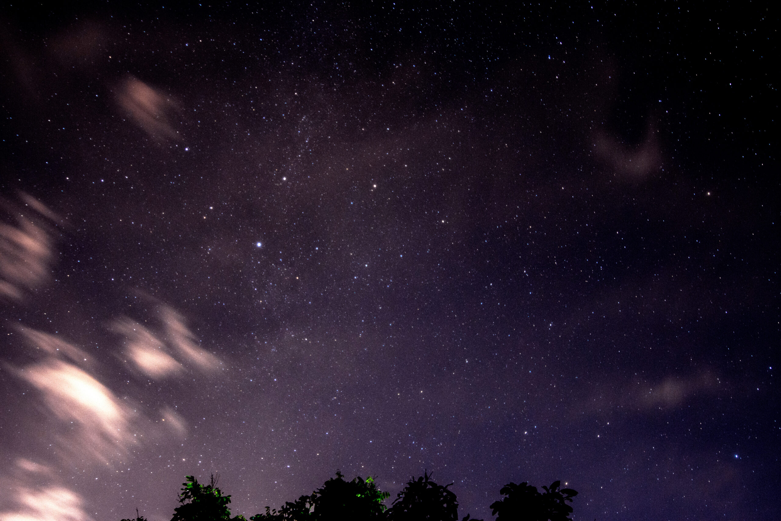 Starry night sky with distant stars and dark tree silhouettes – fall sleep cycle prep with CBDNorth