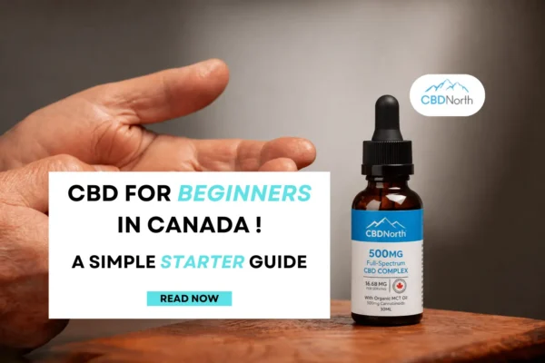 CBD for Beginners in Canada post thumbnail