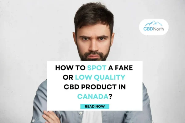 Spot a Fake or Low Quality CBD Product post thumbnail