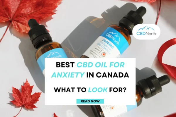 cbd oil for anxiety canada post thumbnail