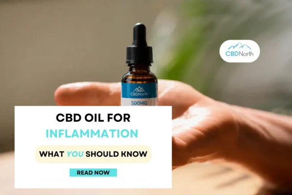 cbd oil for inflammation canada post thumbnail
