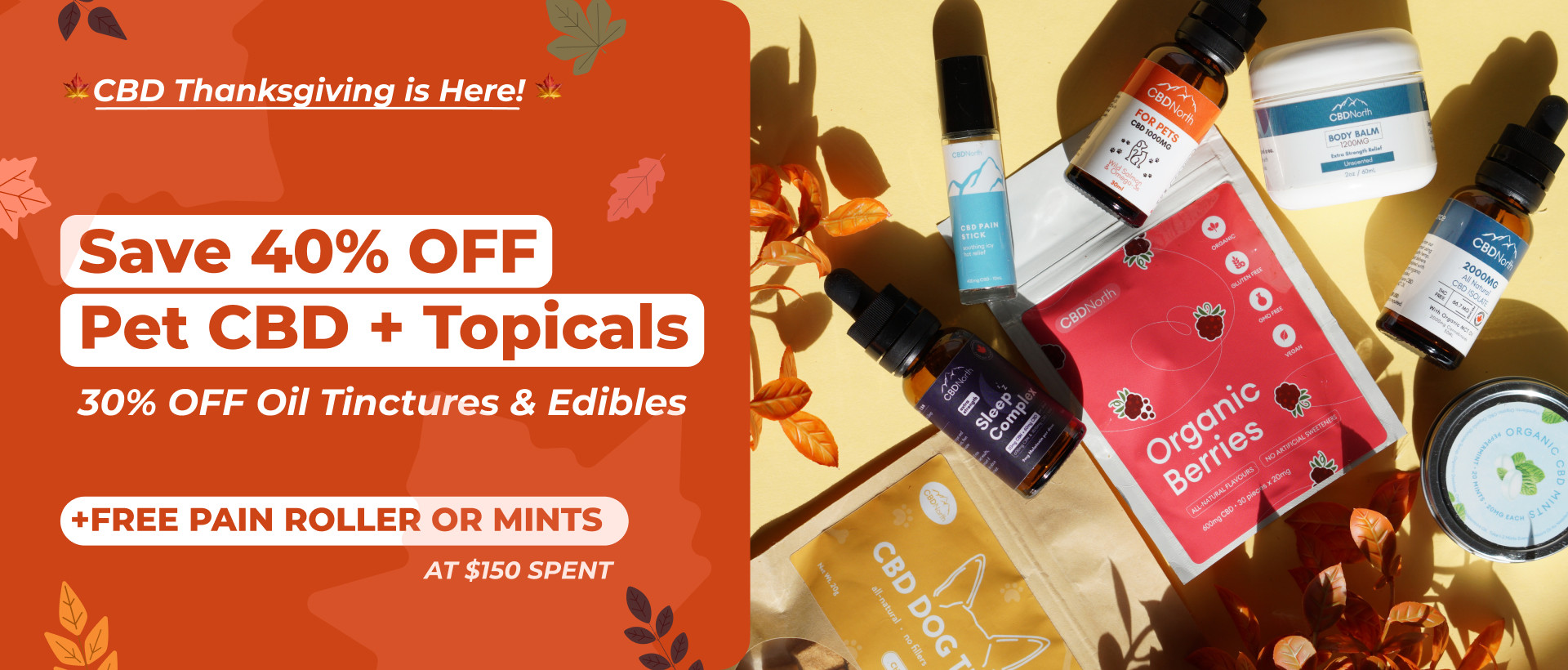 CBDNorth Thanksgiving sale featuring CBD oils, pet CBD, topicals and edibles with autumn leaves